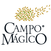 Campo Magico